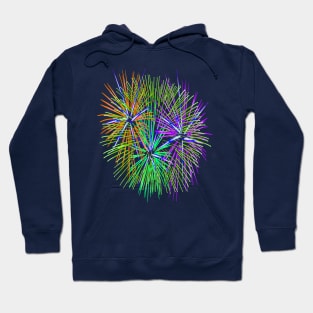 Light Up The Night Sky Colorful Fireworks Celebrations 2 Hoodie